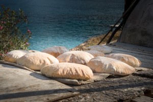 2015 Turkey Tony Lo-Res-1388